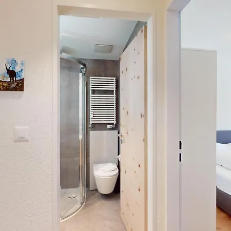 Lavinas 2 - Celerina דירה סלרינה